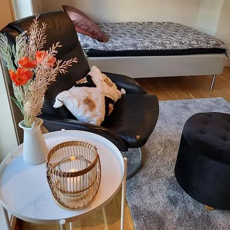 One-room Dorm With Kitchenette, Bath, Bed 140x200 Appartement