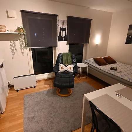 One-room Dorm With Kitchenette, Bath, Bed 140x200 Appartement